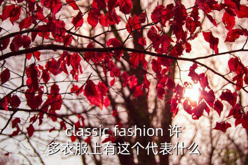 classic fashion 许多衣服上有这个代表什么
