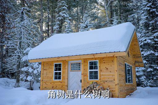 角树是什么树啊