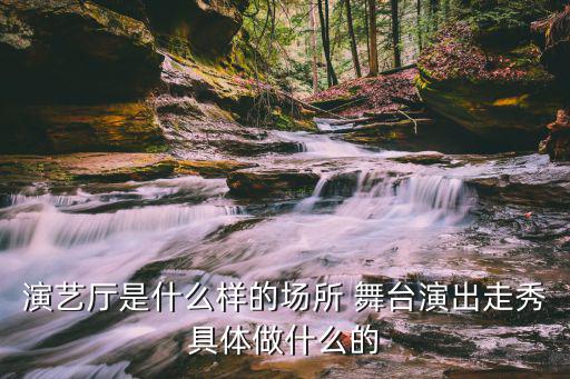 时尚演艺表演是什么，模特T台表演主要是做什么的