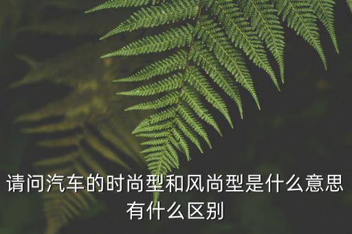 什么叫时尚型，什么叫时尚