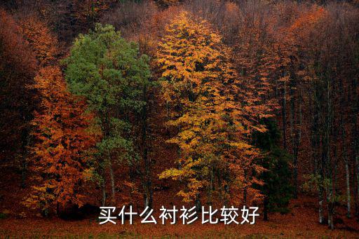 什么衬衫好看又时尚，买什么衬衫比较好