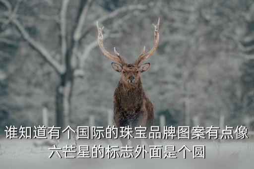 谁知道有个国际的珠宝品牌图案有点像六芒星的标志外面是个圆