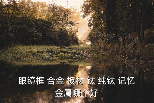 板材镜框和钛框哪个时尚，眼镜框 合金 板材 钛 纯钛 记忆金属哪个好