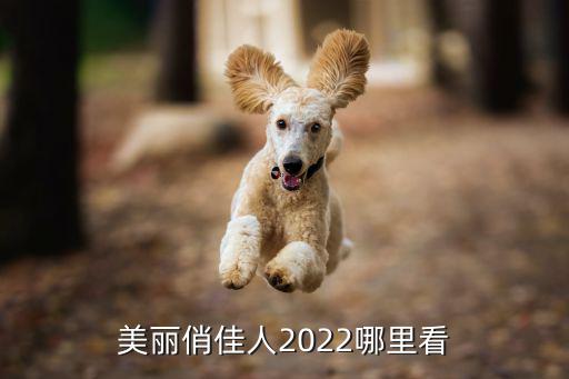 美丽俏佳人2022哪里看