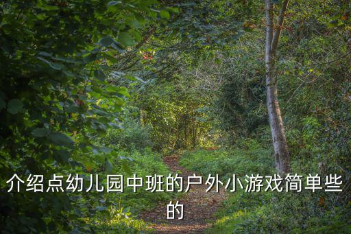介绍点幼儿园中班的户外小游戏简单些的