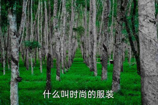 什么叫时尚的服装