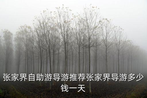 张家界自助游导游推荐张家界导游多少钱一天
