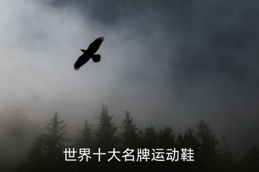 运动鞋大品牌，世界十大名牌运动鞋