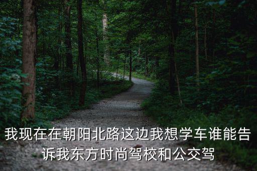 我现在在朝阳北路这边我想学车谁能告诉我东方时尚驾校和公交驾