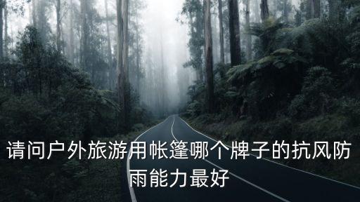 请问户外旅游用帐篷哪个牌子的抗风防雨能力最好