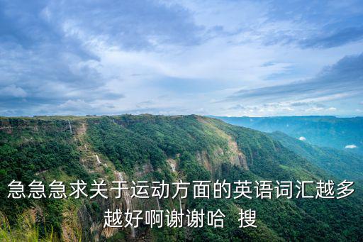 急急急求关于运动方面的英语词汇越多越好啊谢谢哈  搜