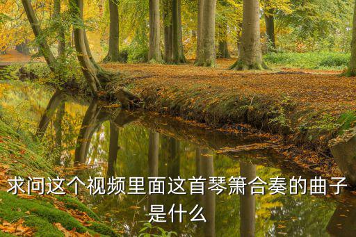 求问这个视频里面这首琴箫合奏的曲子是什么