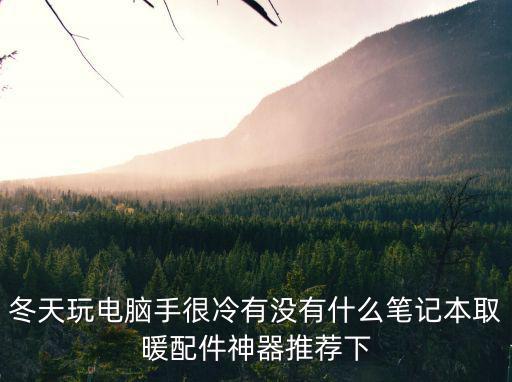 冬天玩电脑手很冷有没有什么笔记本取暖配件神器推荐下