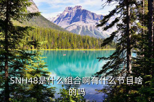 时尚好声音去哪个战队，申请金瓜群后一般多久能加入 站务管理 SNH48
