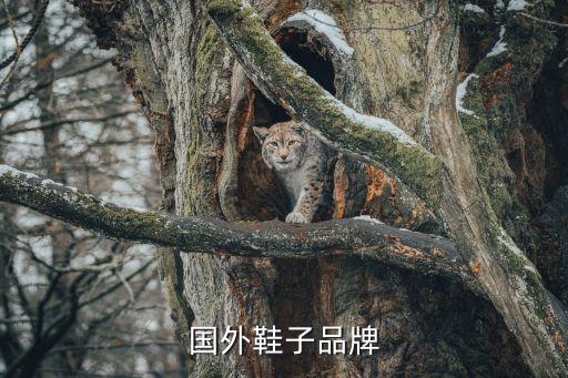国外鞋子品牌