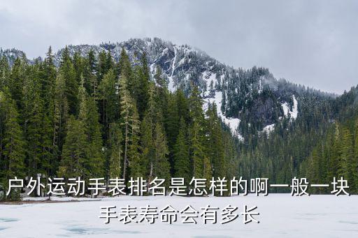 户外运动手表排行榜前十名，国内外知名手表排行前十的都是哪些