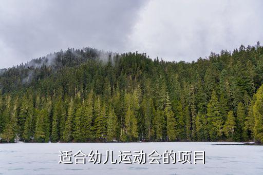 适合幼儿运动会的项目