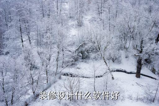 时尚餐厅设计装修软件哪个好，装修设计什么软件好