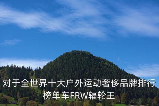 对于全世界十大户外运动奢侈品牌排行榜单车FRW辐轮王