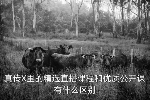 真传X里的精选直播课程和优质公开课有什么区别
