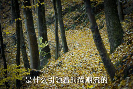 什么潮流 引领时尚，08何种潮流引领时尚