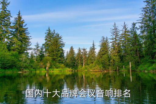 国产音响十大名牌是哪些，国产功放品牌有哪些