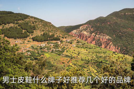 真皮男鞋品牌排行榜前十名，中国十大名牌男皮鞋有哪些呢