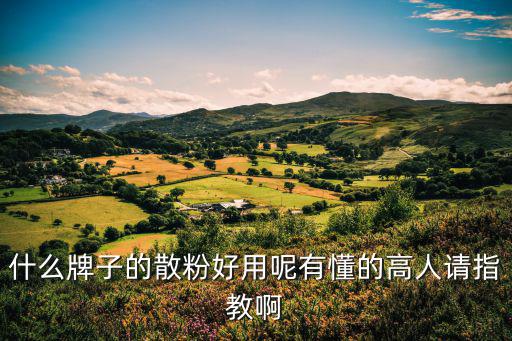 什么牌子的散粉好用呢有懂的高人请指教啊