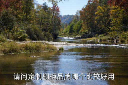 请问定制橱柜品牌哪个比较好用