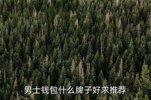 男士钱包什么牌子好求推荐