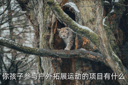 青少年户外运动项目有哪些，你孩子参与户外拓展运动的项目有什么
