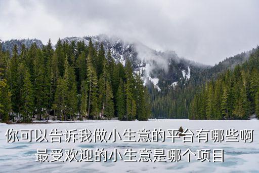 你可以告诉我做小生意的平台有哪些啊最受欢迎的小生意是哪个项目