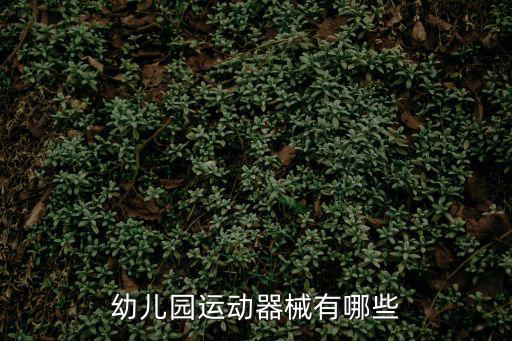 幼儿园运动器械有哪些