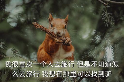 我很喜欢一个人去旅行 但是不知道怎么去旅行 我想在那里可以找到驴