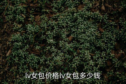 lv女包价格lv女包多少钱