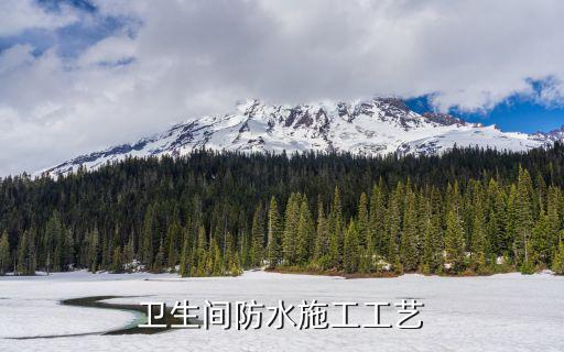 卫生间防水施工工艺