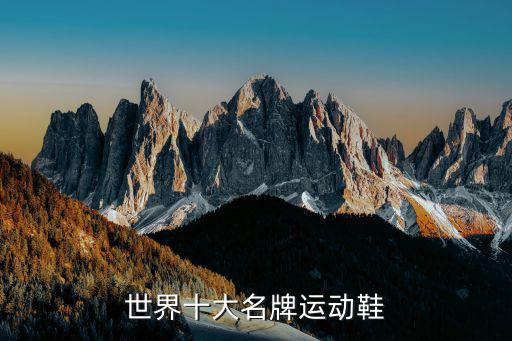 世界十大名牌运动鞋