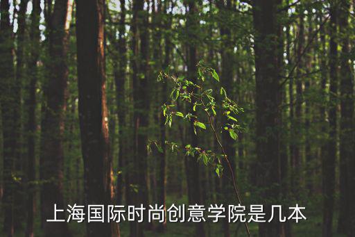 时尚这是什么学校，上海国际时尚创意学院是几本