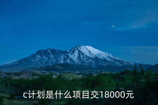 c计划是什么项目交18000元