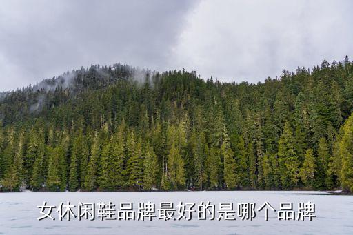 名牌鞋排名前十名女鞋休闲鞋，女休闲鞋品牌最好的是哪个品牌
