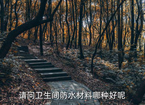 请问卫生间防水材料哪种好呢