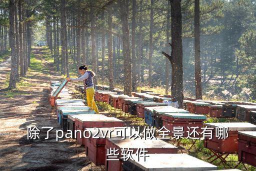 除了pano2vr可以做全景还有哪些软件