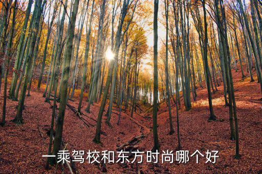 昆明东方时尚和一乘哪个，一乘驾校和东方时尚哪个好在一个类似于中介的地方问的说东方时尚是一人