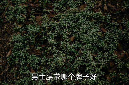 腰带男士哪个牌子好看时尚，男士腰带什么品牌好
