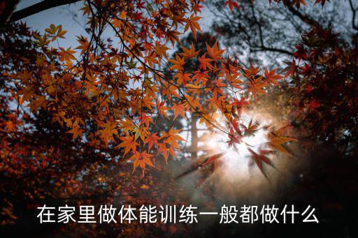 在家里做体能训练一般都做什么