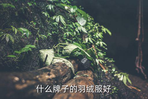 什么牌子的羽绒服好