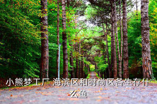 小熊梦工厂 海滨区和时尚区各生存什么鱼