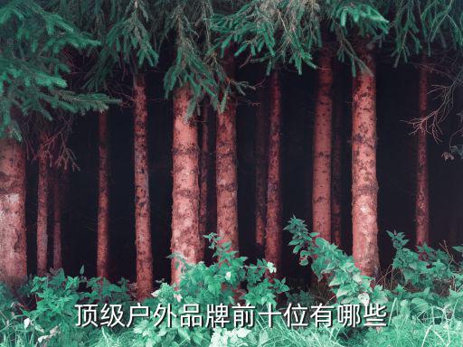 顶级户外品牌前十位有哪些