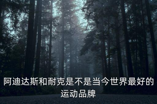 世界上最好的运动鞋品牌，世界十大名牌运动鞋