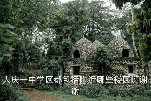 大庆一中学区都包括附近哪些楼区啊谢谢